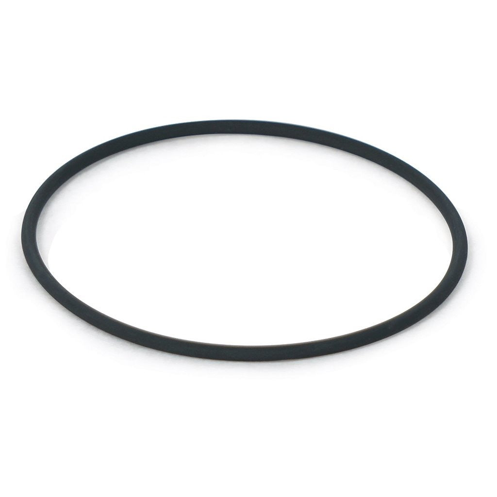 #241 FKM O-RING - HOT WATER - #10/12/20 HOUSING