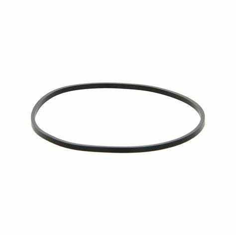 O-RING - 10" CLEAR BIG BLUE HOUSING