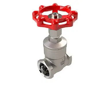 2" STAINLESS STEEL GATE VALVE - THREADED