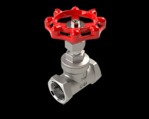 1" SS GLOBE VALVE TXT