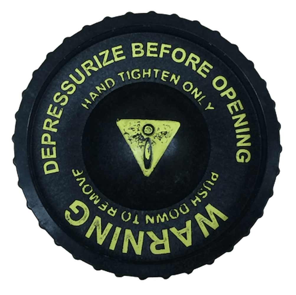 1.25" DOME HOLE PLUG - NEW STYLE