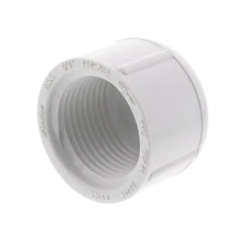 3/4" PVC THREADED CAP SCD 40