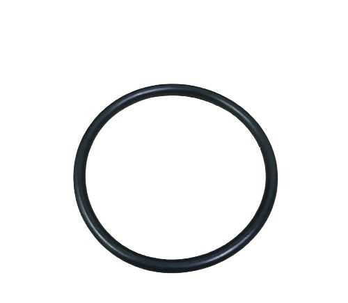 FILL CAP ORING
