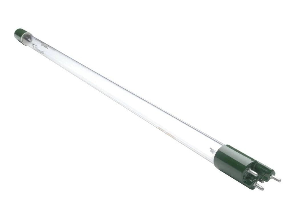 BULB - GENUINE SQ-PA / SC-1