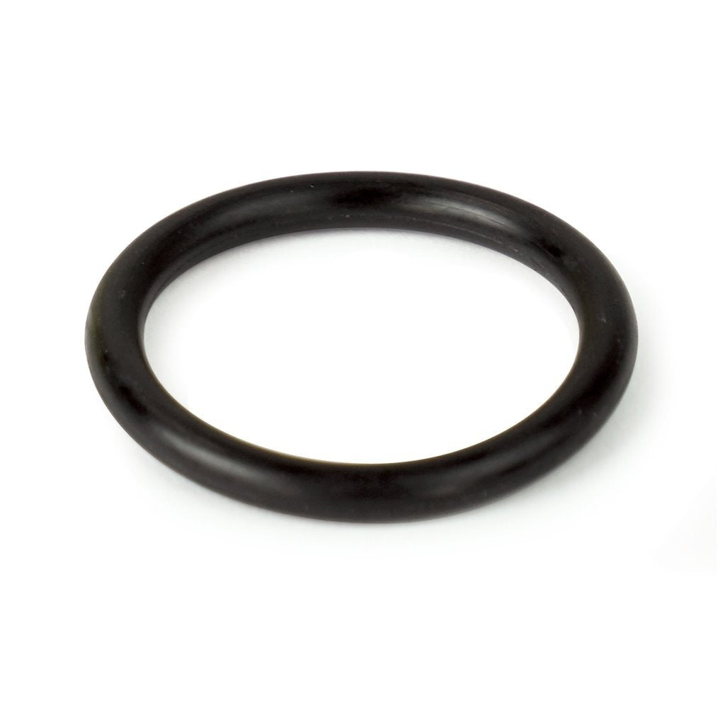 ORING - WS1 DIST TUBE
